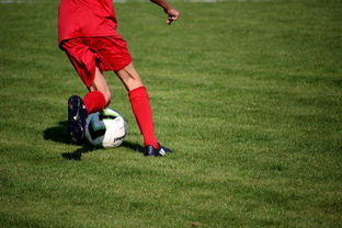 爱游戏app安装-篮球专项技能训练标准体系建设，篮球专项训练方法和手段