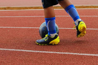 爱游戏app推荐-篮球运动员心理健康支持体系构建，篮球运动员心理健康支持体系构建方案