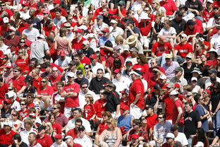 爱游戏-高校体育赛事观众体验提升策略研究，体育赛事审美体验